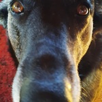 Profile picture of Moune Hgn